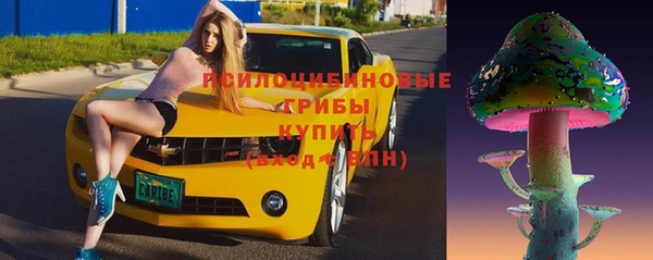 гашик Алзамай