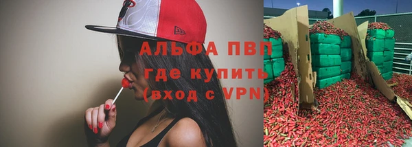 гашик Алзамай