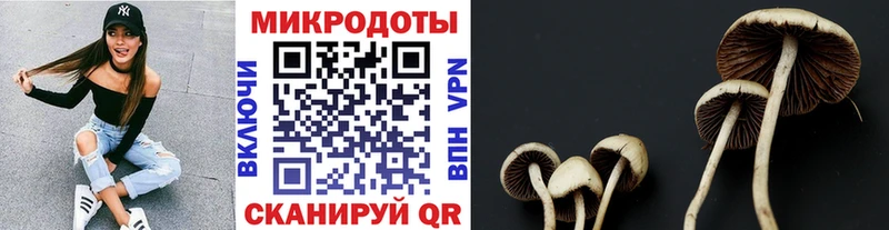 закладки  Ивдель  Псилоцибиновые грибы прущие грибы 