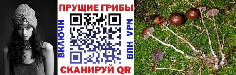 Галлюциногенные грибы GOLDEN TEACHER Ивдель